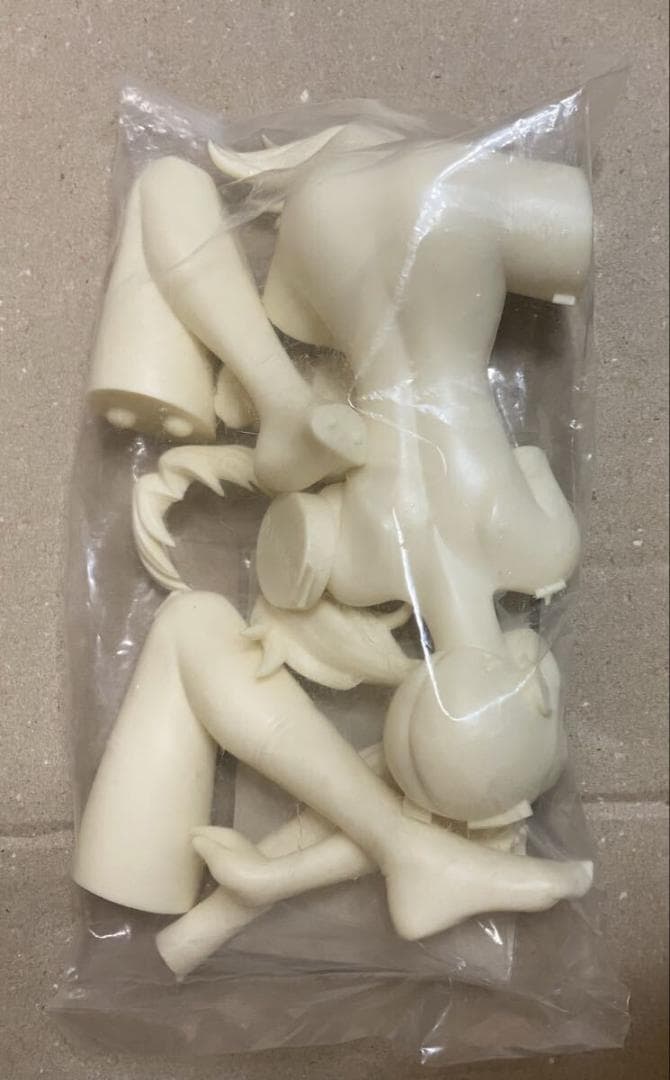 新世紀エヴァンゲリオン 洞木ヒカリ 脱衣補完計画 ガレージキット