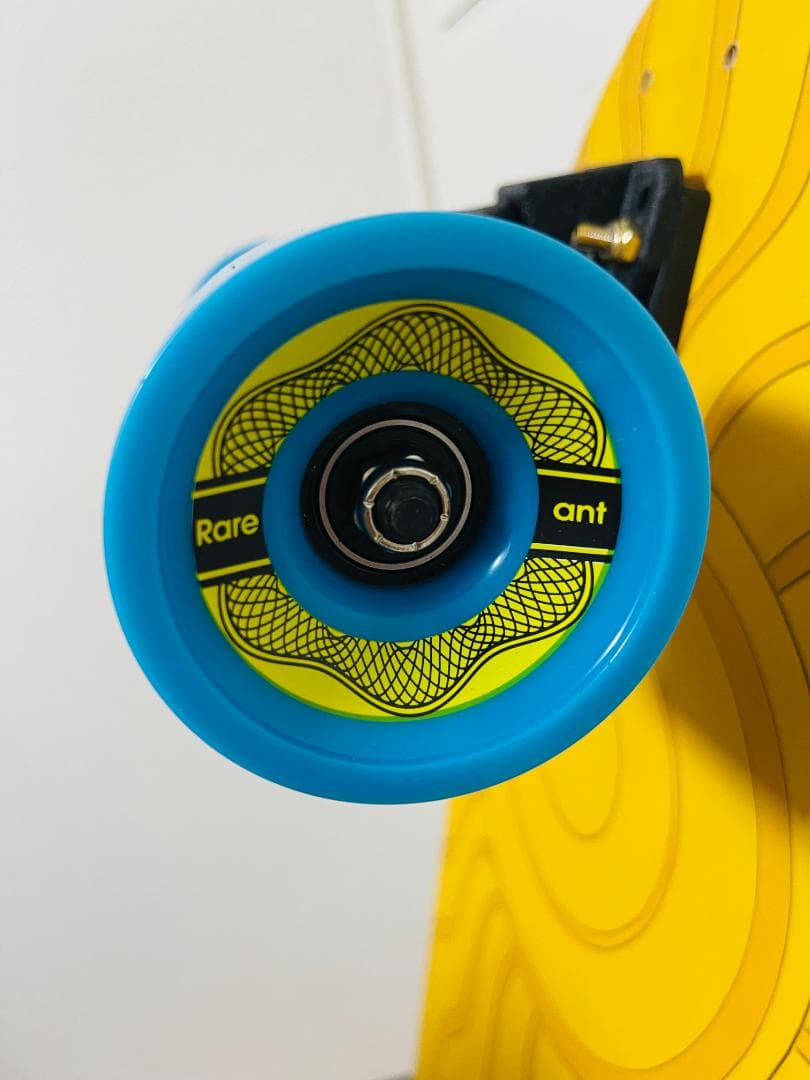 Rare Ant × Land Carver ランドカーバー サーフスケート