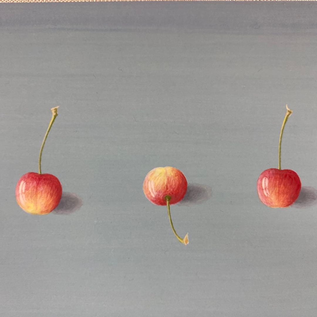 美品 掛け軸 城康夫作「初夏」さくらんぼ図 共箱 太巻き付 美術年鑑