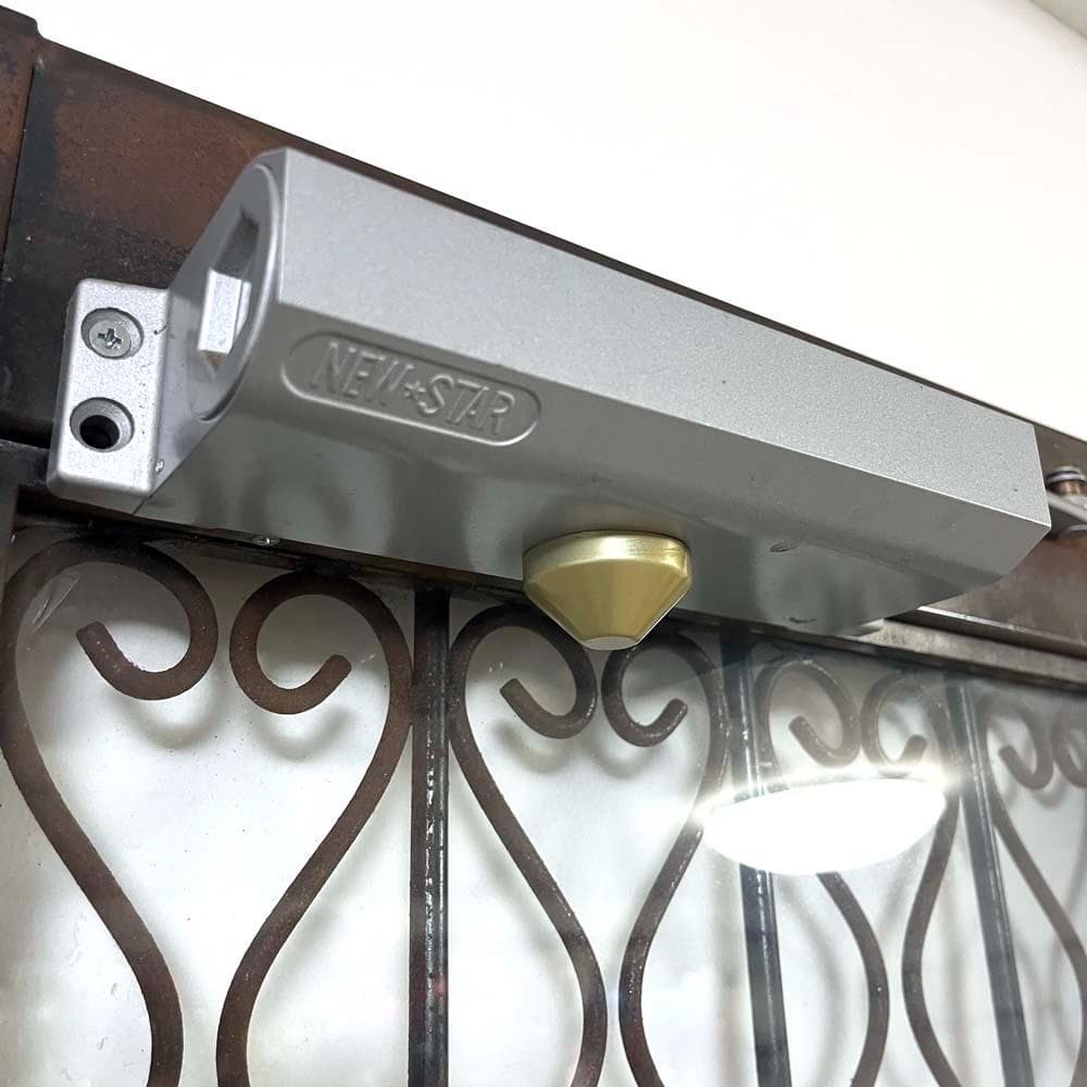 ロートアイアン 観音開きドアセット/扉イギリスアンティークフランス