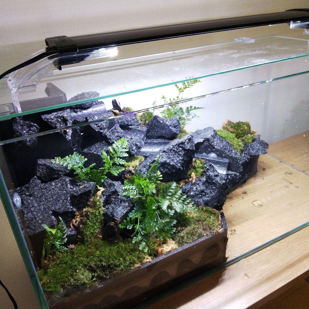 受注生産】滝の流れるアクアテラリウム イモリウム 苔 水槽 苔