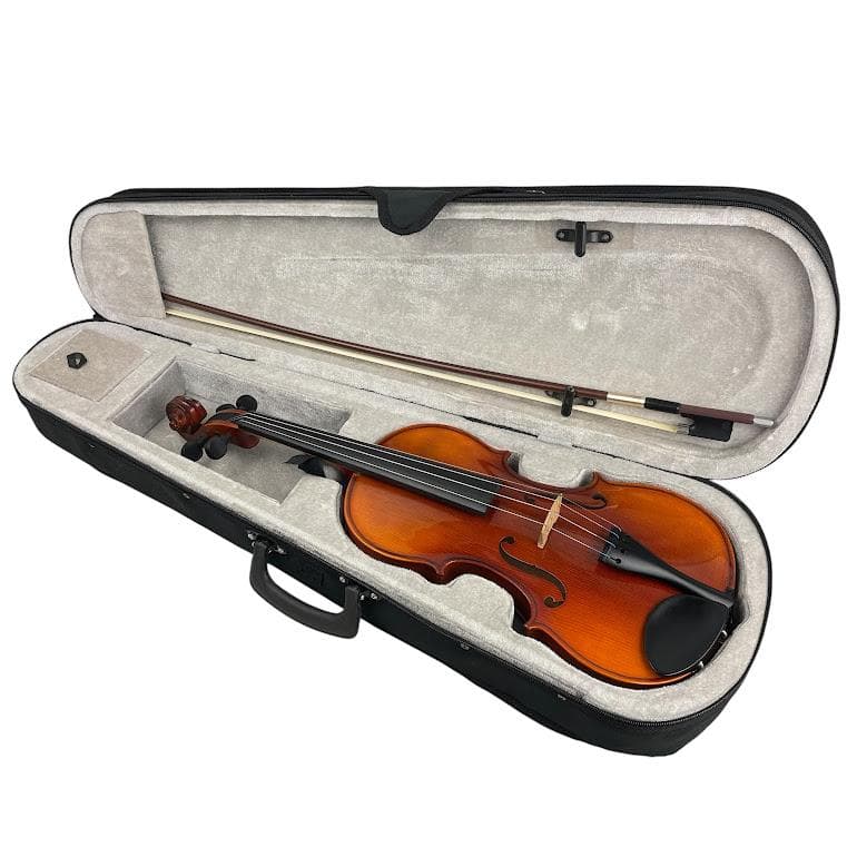 極美品●HORA● Reghin 4/4 2005年製 ホラ レギン バイオリン