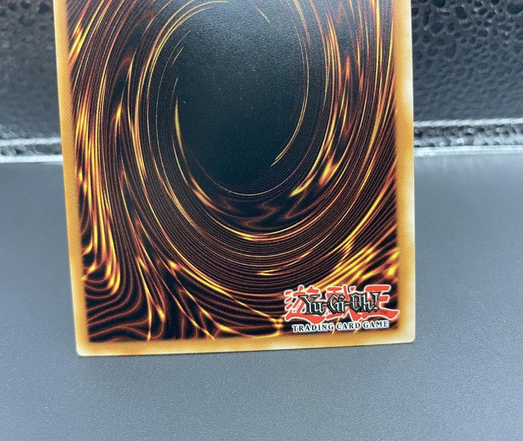 遊戯王 英語版 EU版 暗影の闇霊使いダルク スターライト