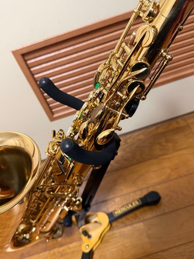 アルトサックスA2000GPシルフィード（シャイニーケース付き） アルト