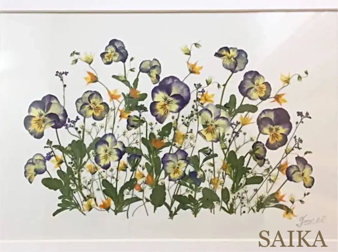 花 SAIKA 押し花アートボタニカルビオラ　M額
