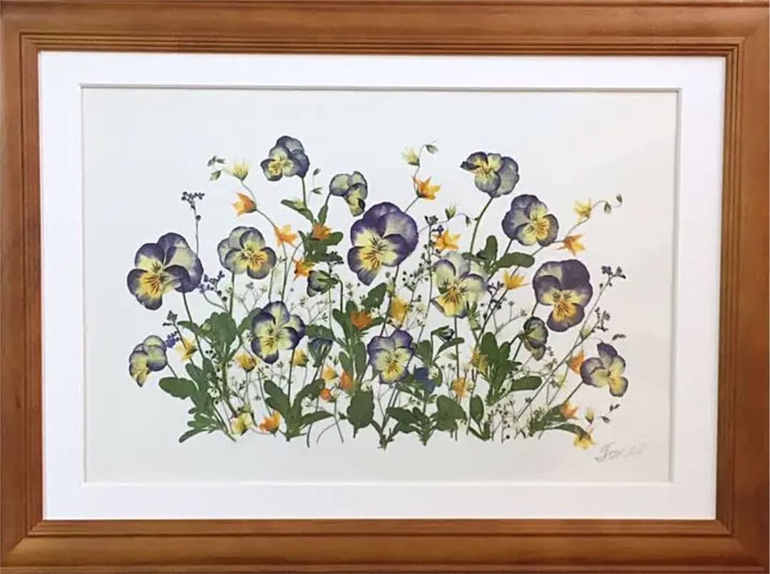 花 SAIKA 押し花アートボタニカルビオラ　M額