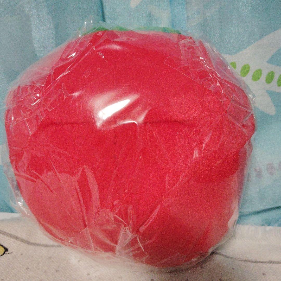 みかんぼうや　イチゴ　苺　ぬいぐるみ　ハウス食品　San-X　サンエックス