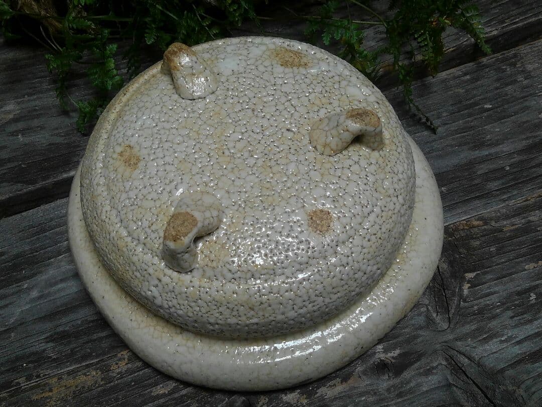 ♥美濃焼　志野　鉢　桐箱付き　志野織部　骨董品