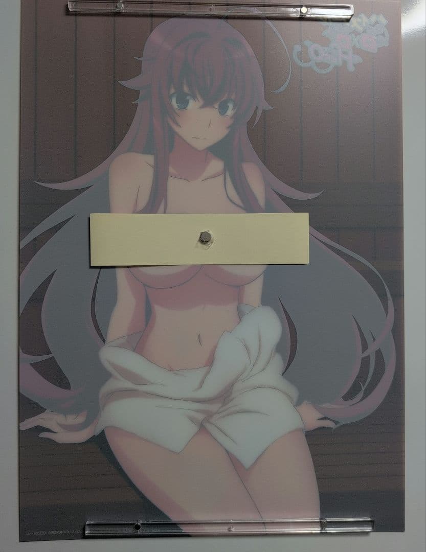 非売品　レア　ハイスクールD✕D　プレミアムセット　特大A3サイズ　リアス