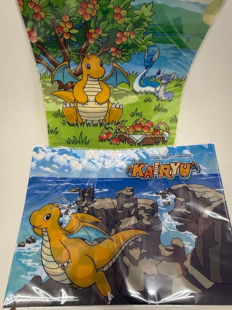 福井県限定】カイリュー クリアファイル 新品未開封 2種コンプ 計10枚