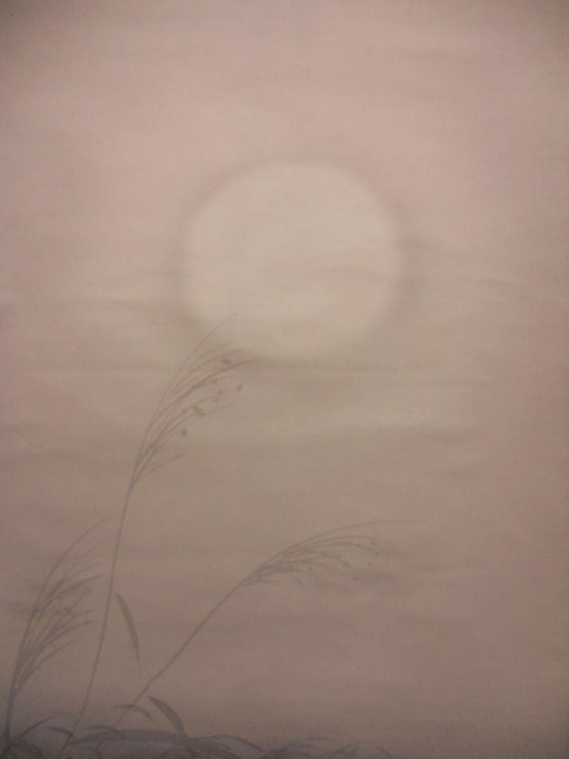 掛け軸 山田昇仙 『 狸之図 』 中島清堂 識箱 絹本 希少 茶道具 掛軸