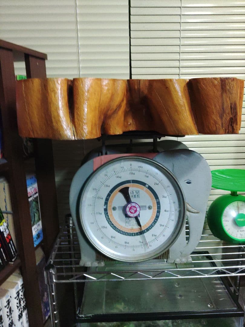 無垢木材 花台 大迫力切り株 かわいい木製オブジェ 木の温もり 年輪