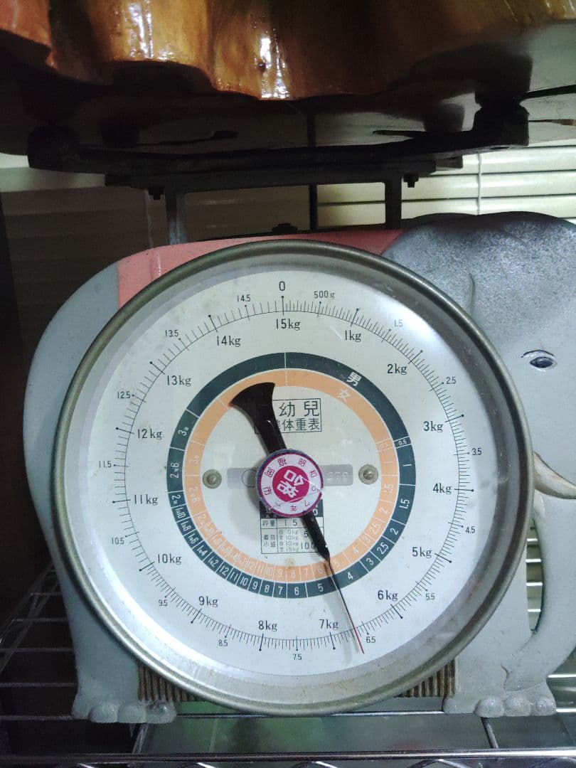 無垢木材 花台 大迫力切り株 かわいい木製オブジェ 木の温もり 年輪