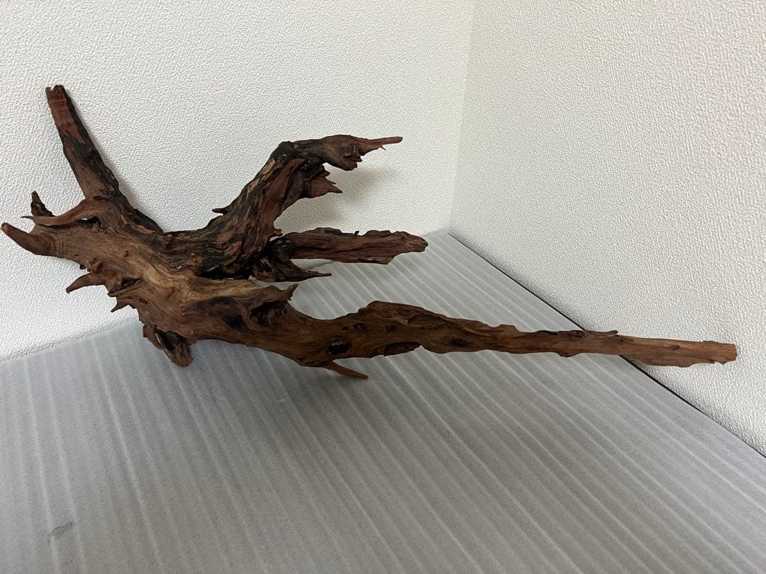 HX-080 流木 ホーンウッド マシンガンウッド アクアリウム ブランチ