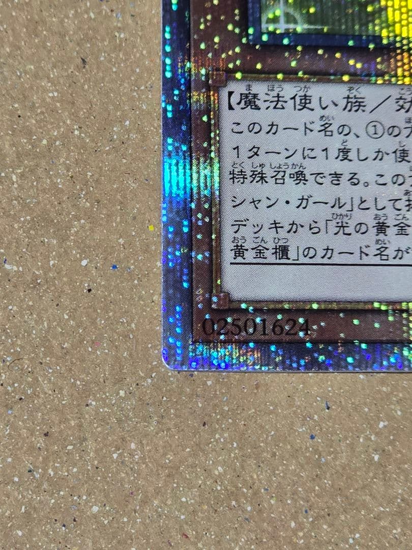 魔術師の弟子－ブラック・マジシャン・ガール