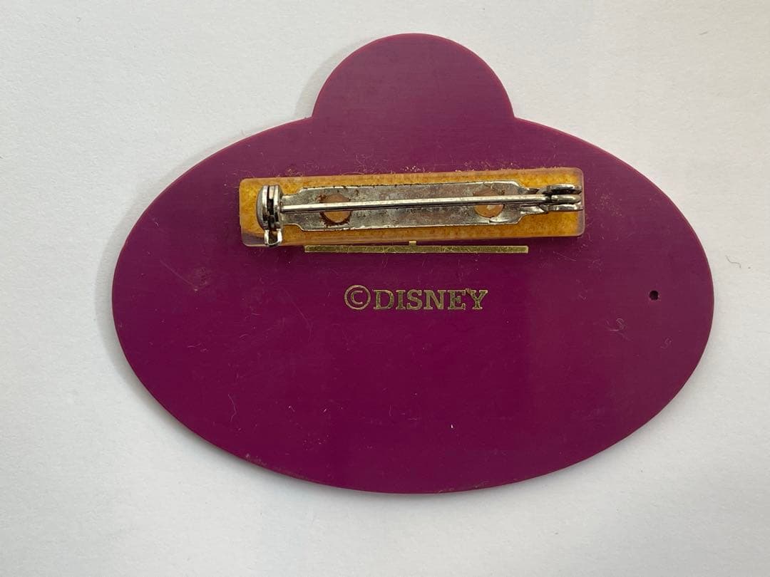 ディズニーリゾート25th 昔のキャストネームタグ