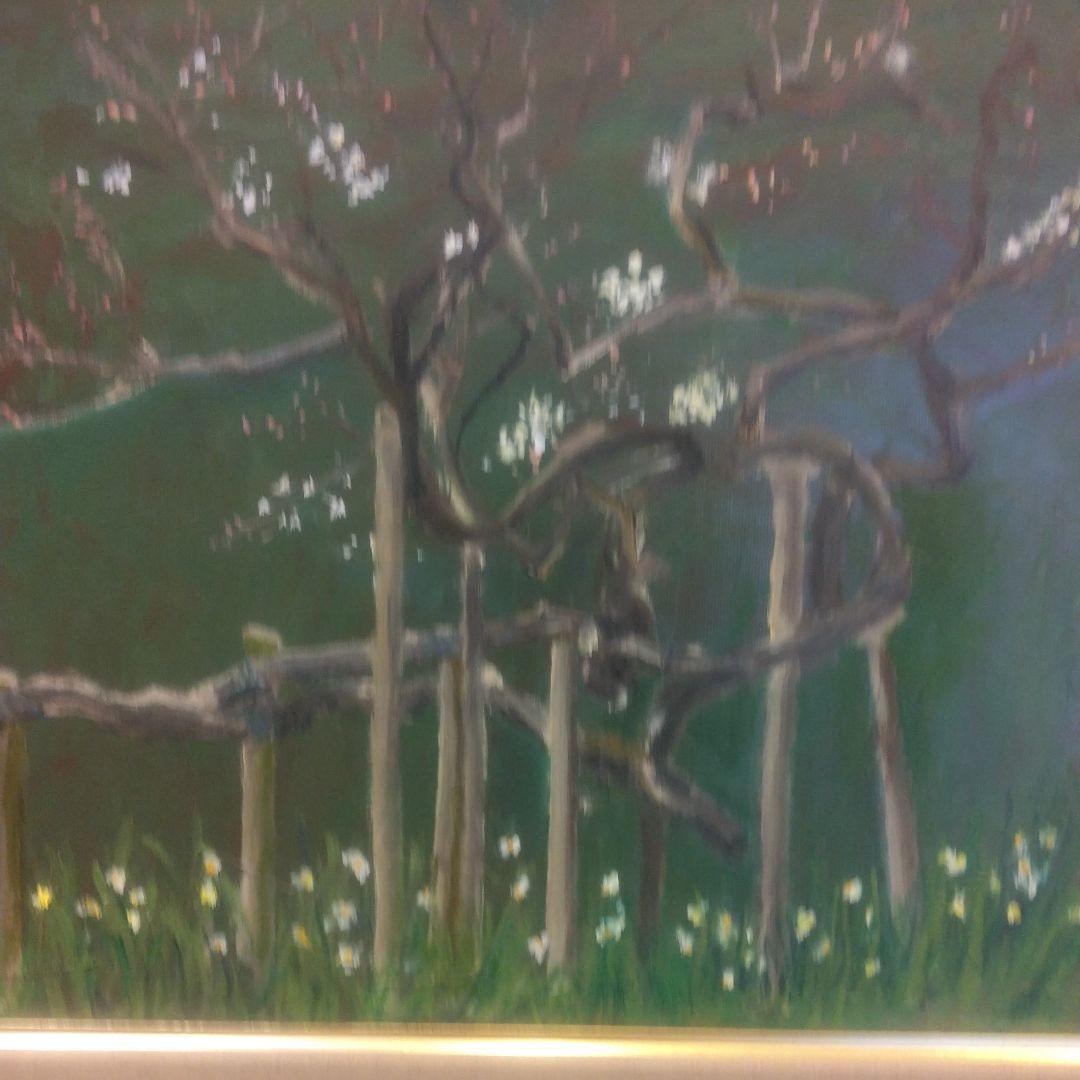 臥龍梅（横浜三渓園)