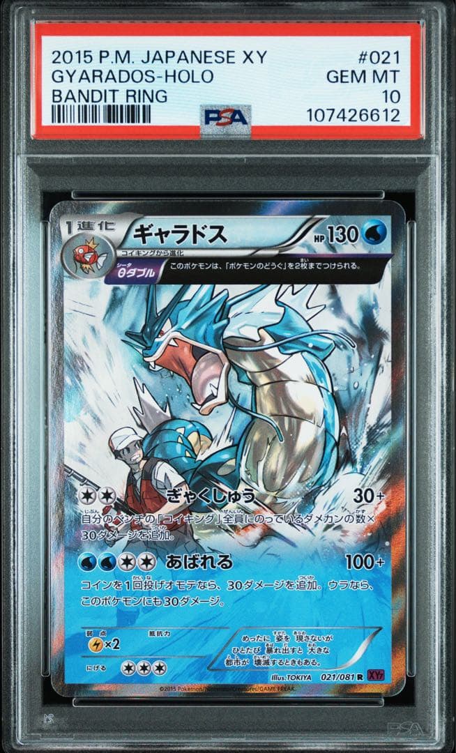PSA10 ポケモンカード ギャラドス R XY7 バンデットリング