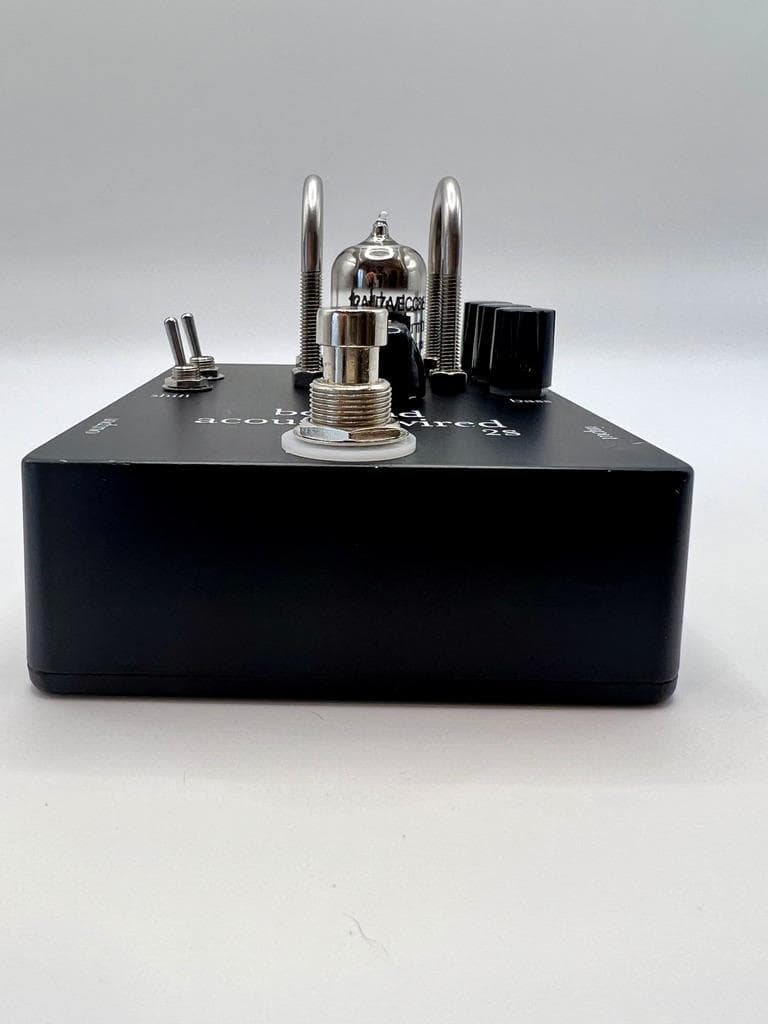 beyond tube pedals acoustic wired 2S エレア