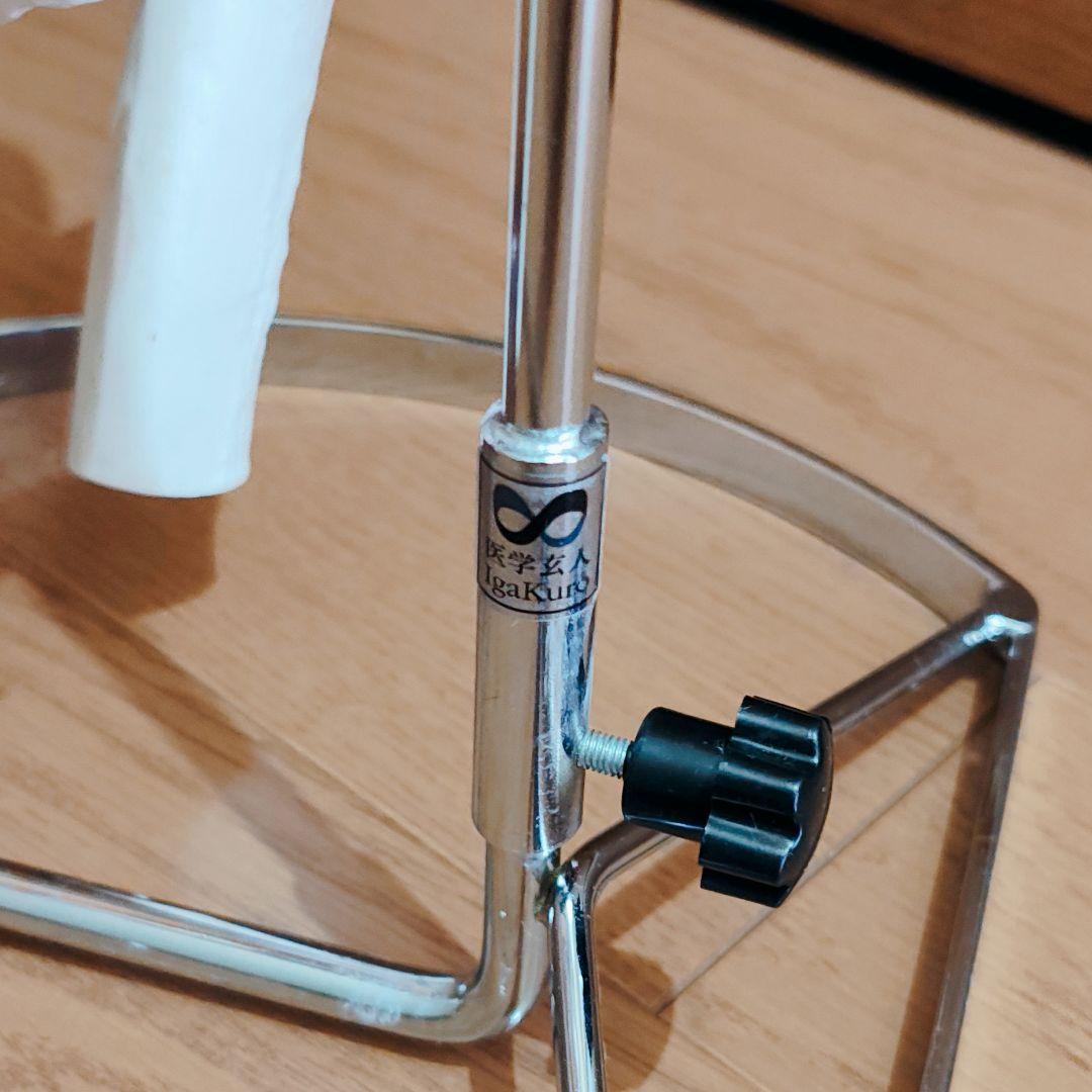 医学玄人 脊椎 骨盤 骨格模型 igakuro スタンド付き - メルカリ