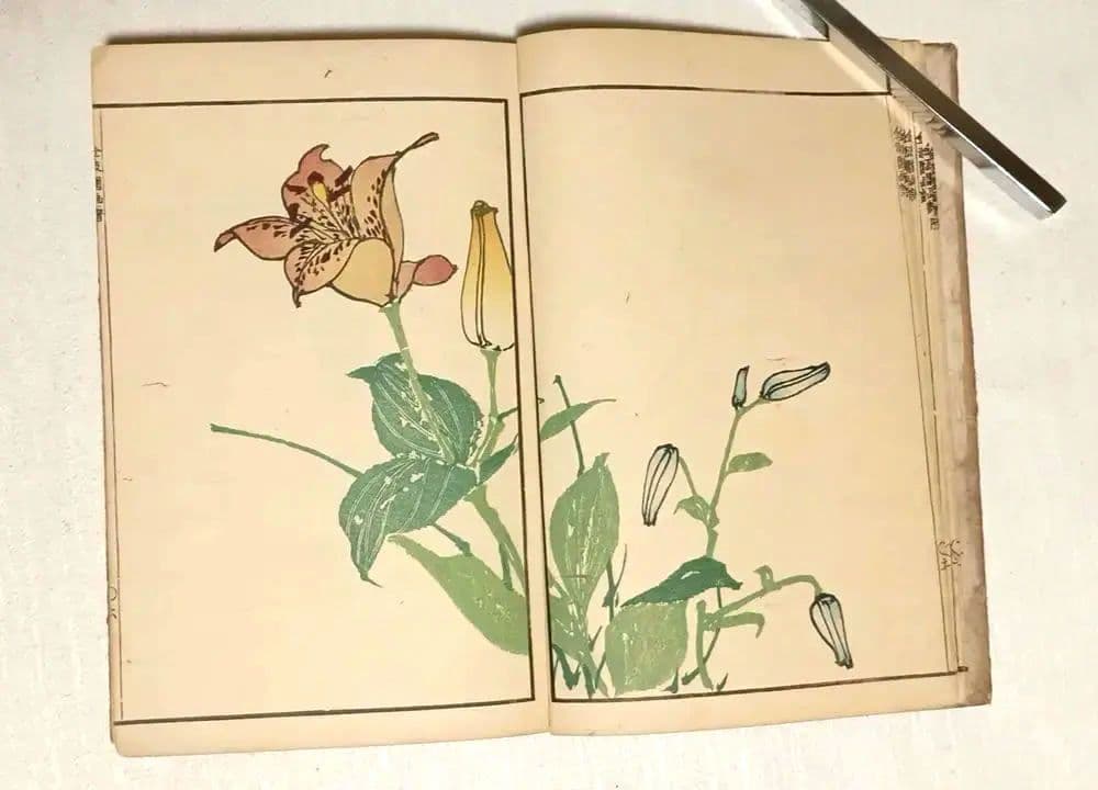 金波園画譜No.2（色刷り木版画本) 河村文鳳画、文化8年出版 - メルカリ