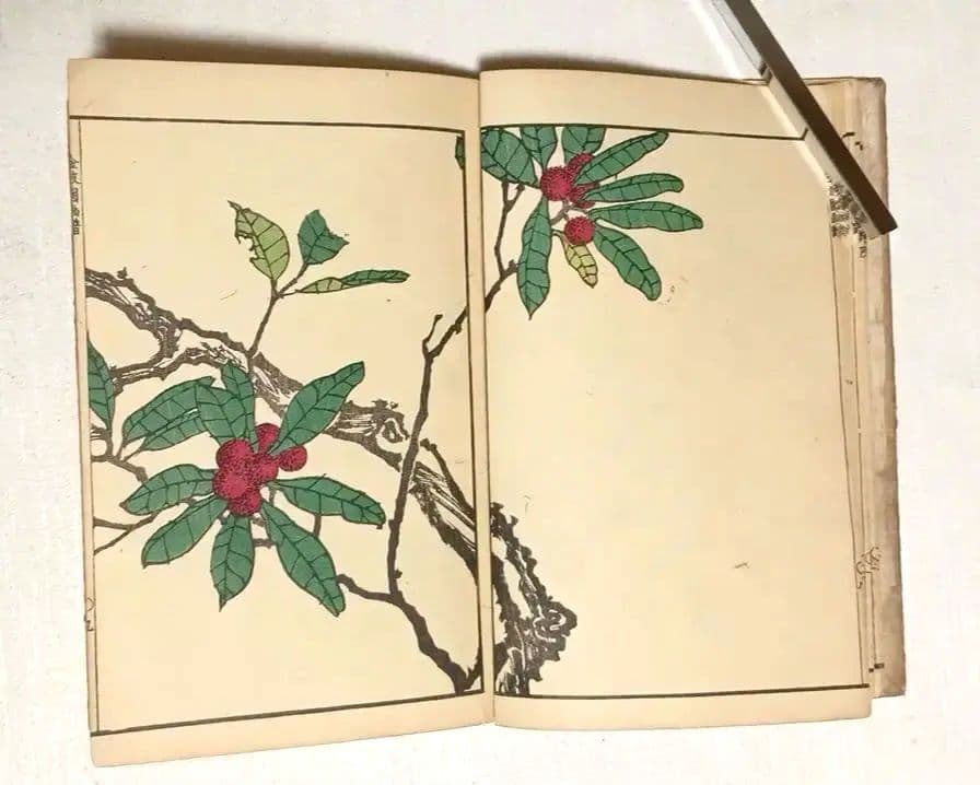 金波園画譜No.2（色刷り木版画本) 河村文鳳画、文化8年出版 - メルカリ