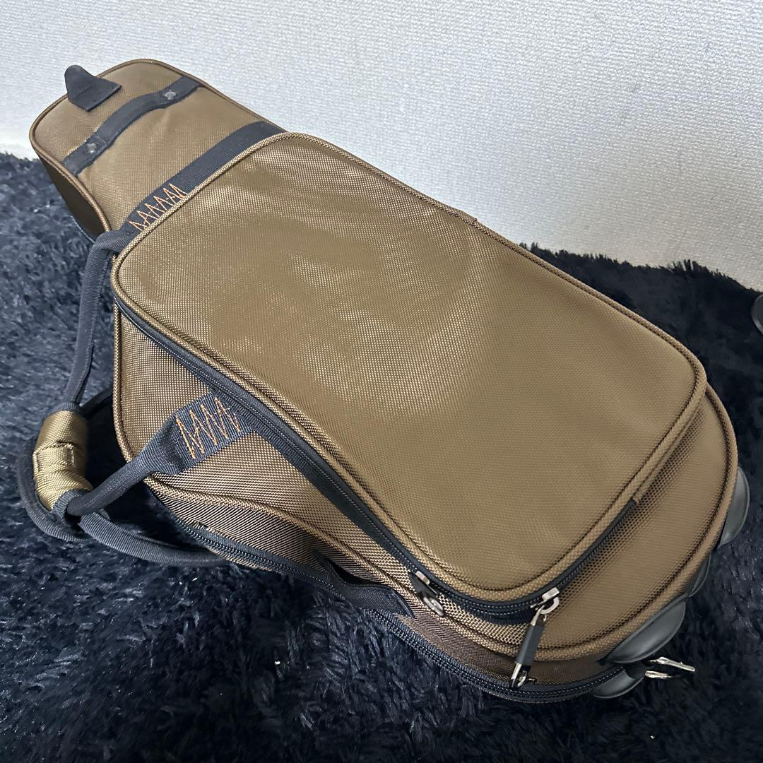 極美品 PRO-PAC アルトサックス ハードケース 管楽器 大容量 管楽器