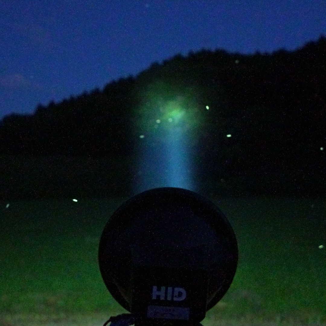 新品HIDライトトラップ 強力約55～100W 紫外線強化バルブ 灯火採集