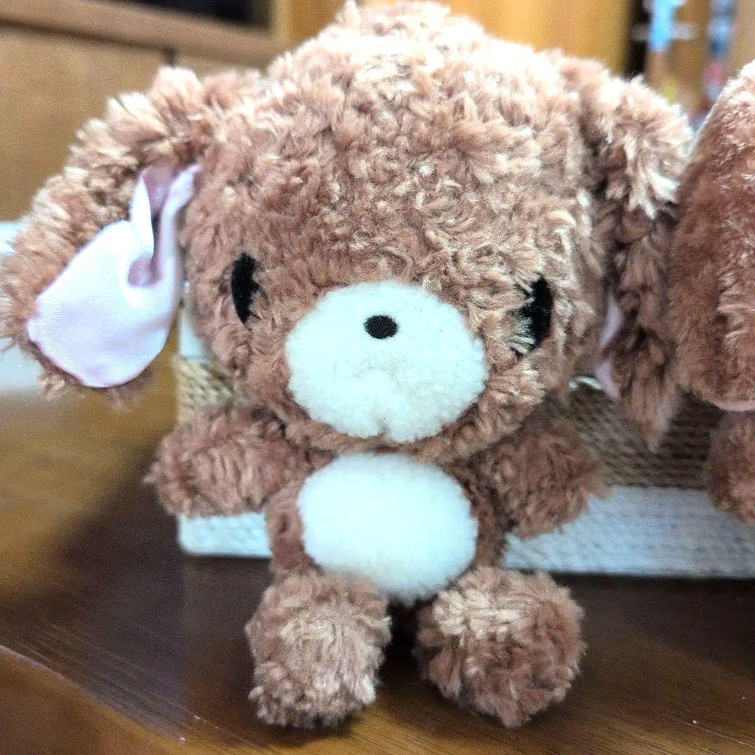 【激レア】シュガーバニーズ　くろうさ　ぬいぐるみ　サンリオ購入品　当時物　セット