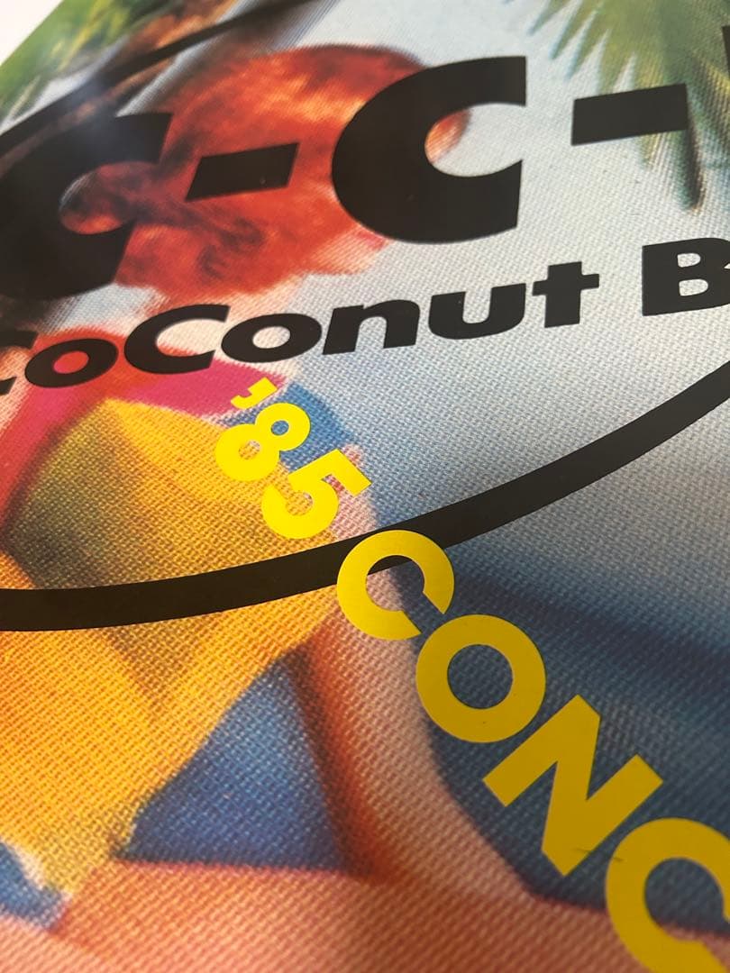 ☆激レア☆C-C-B☆コンサートツアー'85☆メンバーサイン入りパンフレット☆