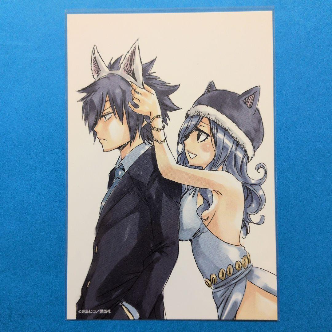 フェアリーテイル グレイ ジュビア ポストカード 特典 プリンセス