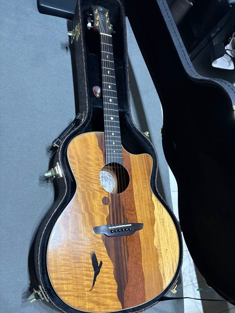 ルナ・ヴィスタ・イーグル　アコースティック・エレクトリックギター値下げ受け付け中 ルナ・ヴィスタ・イーグル アコースティック・エレクトリックギター