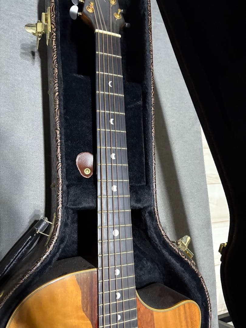 ルナ・ヴィスタ・イーグル アコースティック・エレクトリックギター