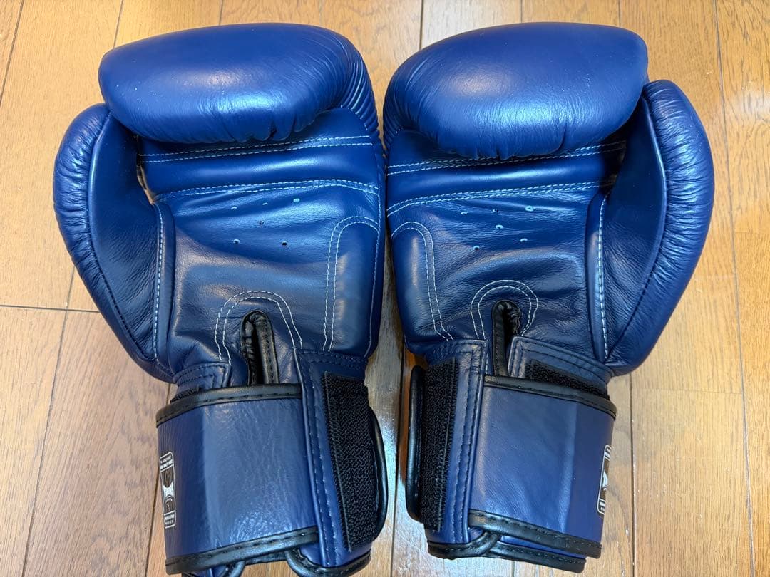 唯一カラー！）TWINS SPECIAL キック・ボクシンググローブ 14oz