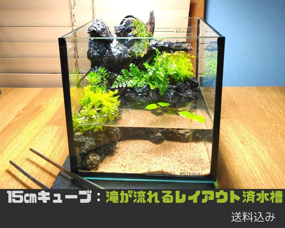 アクアテラリウム 滝 15センチ水槽 苔 テラリウム 水槽