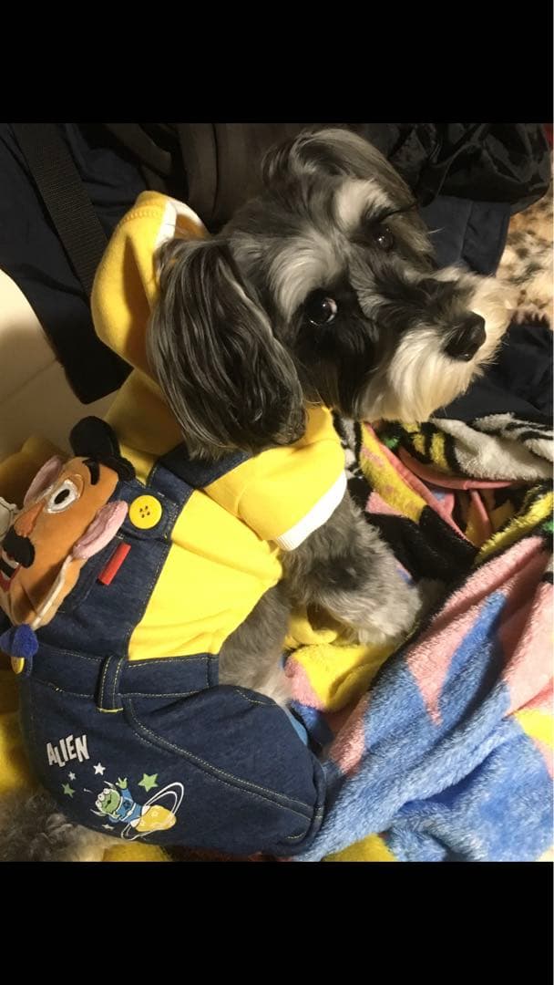 miniさま 確認用 その③ miniさま 確認用 その③ ルートZX mini