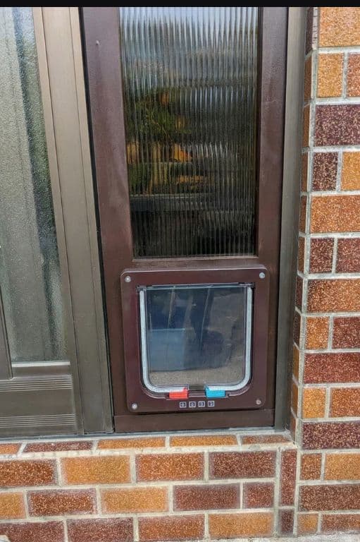 行って帰る君] ペットドア ペット スルー 新年キャンペーン中