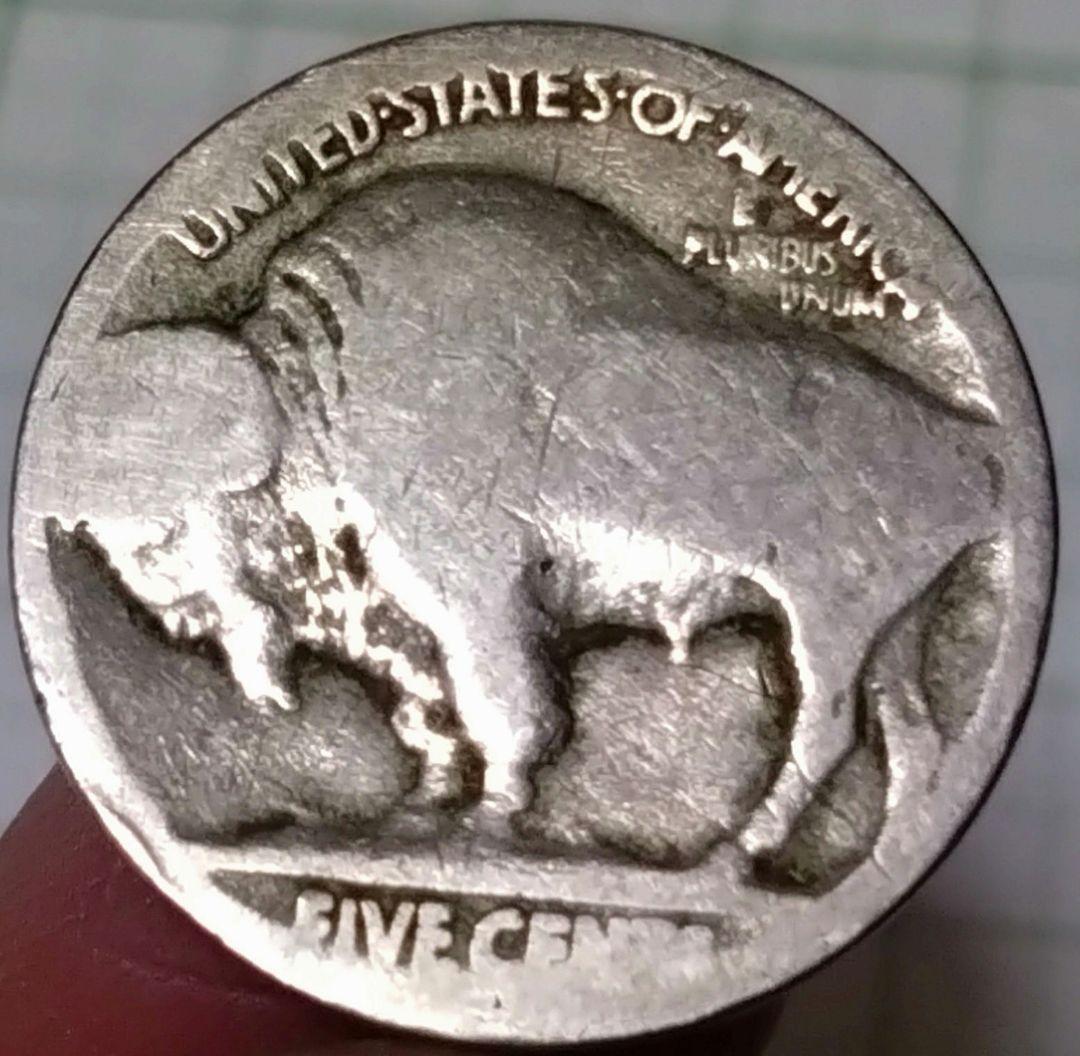 41）インディアンヘッド バッファロー 5セントコイン - メルカリ