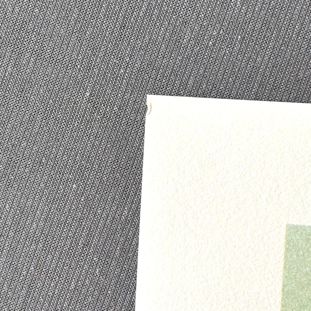 安彦良和/機動戦士ガンダム 20周年記念 リトグラフ2枚組