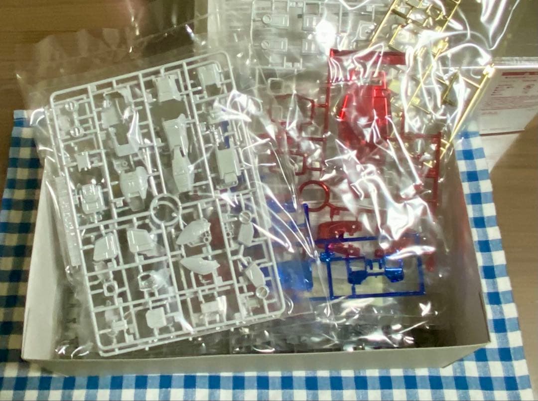 club MG ガンプラ30周年記念 限定 ガンダム ver. OYW0079