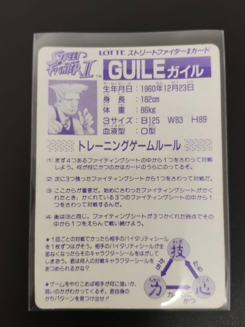 超希少 全12キャラ LOSE ver. ストリートファイター カード