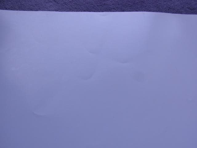 未使用品　非売品　ポスター　ヒロ・ヤマガタ　レイニーデイⅡ　アート　山形博導