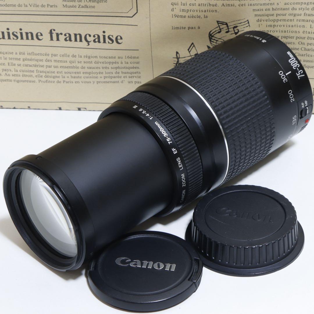 Canon純正 75-300mm 望遠レンズ a3115