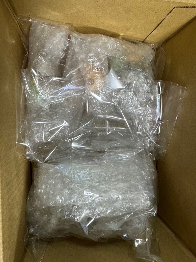 N エヌ　レシラム　ねんどろいど フィギュア　ポケモン　ポケットモンスター