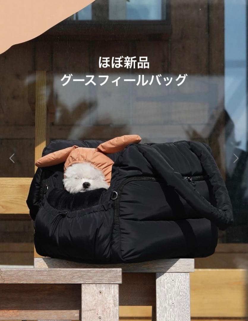 SSOOOK グースフィール バッグ 美品 - メルカリ