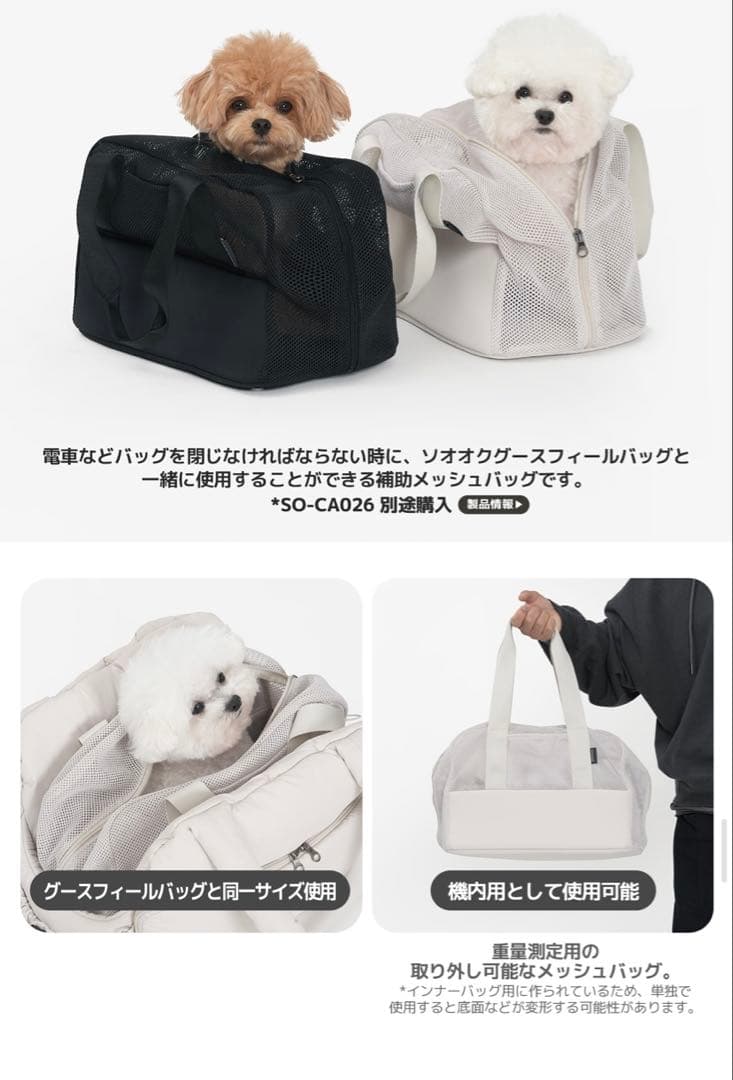 SSOOOK グースフィール バッグ 美品 - メルカリ