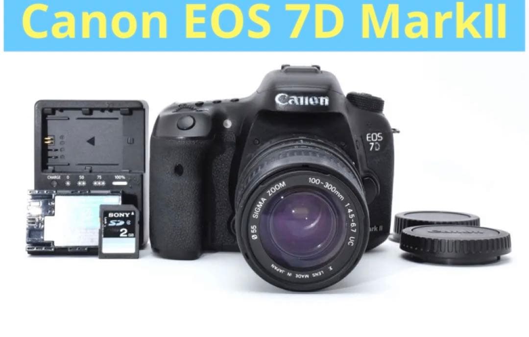 Canon EOS 7D MarkⅡ レンズセットSIGMA 100-300mm