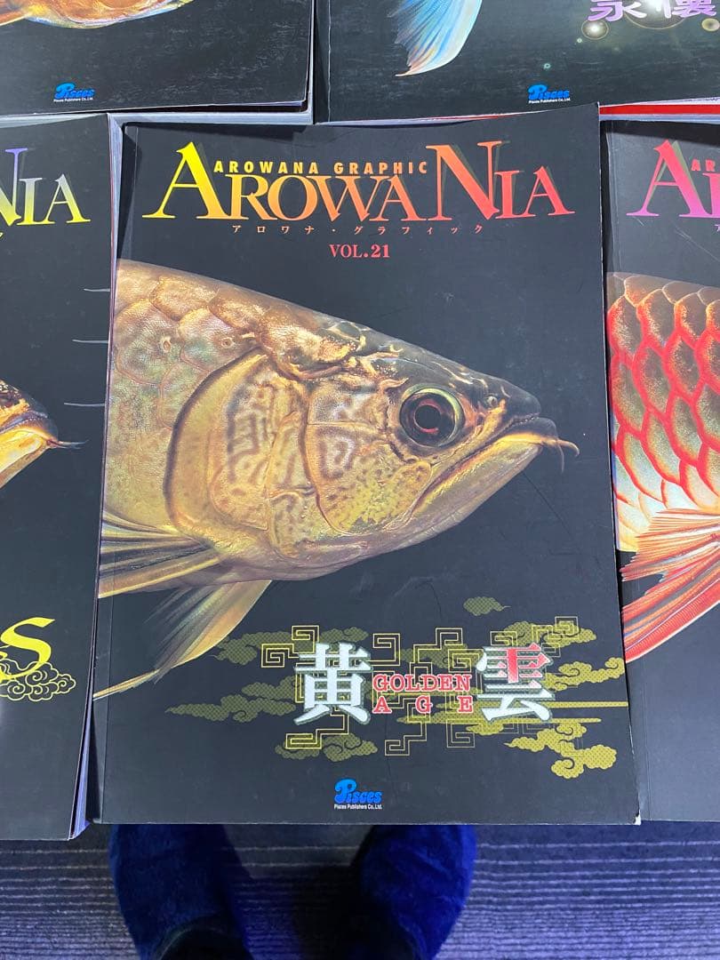 アロアナグラフィック各種