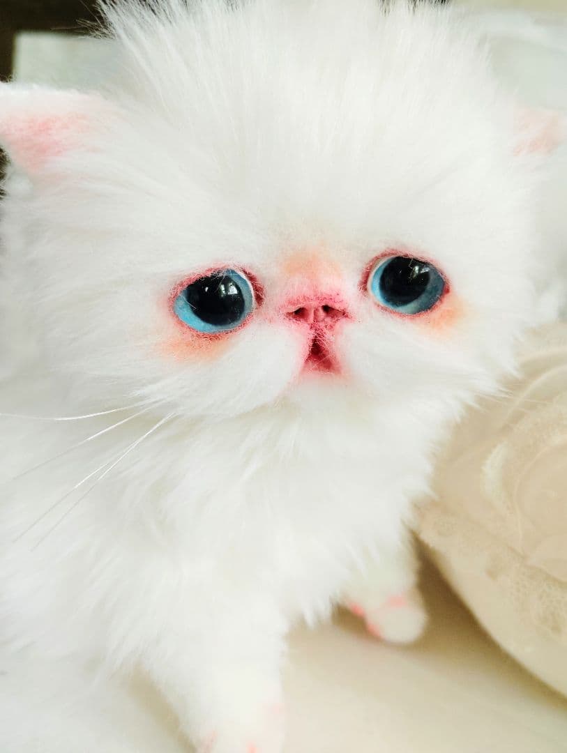 よちよち〜短足ころころボディエキゾチック子猫ちゃんアートドール