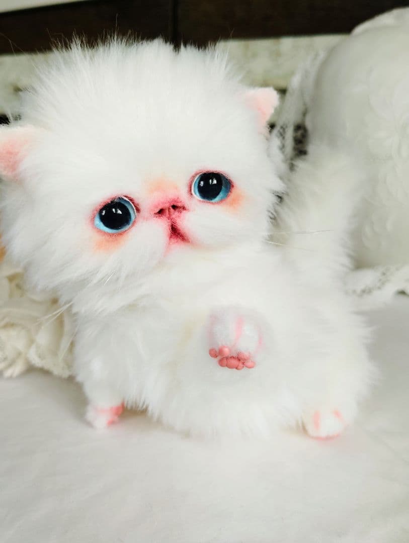 よちよち〜短足♡ころころボディ♡エキゾチック子猫ちゃん♡アート